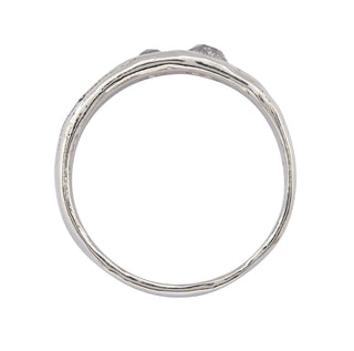 A Karen Karch Platinum unisex band ring with two rose-cut salt & pepper diamonds of different sizes sunken into the surface, top view, on a white background.